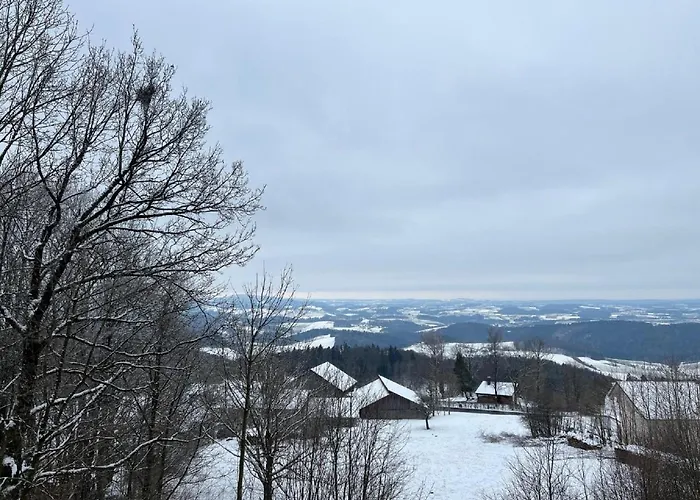 아파트 Bayerischer Wald Mit Pool *